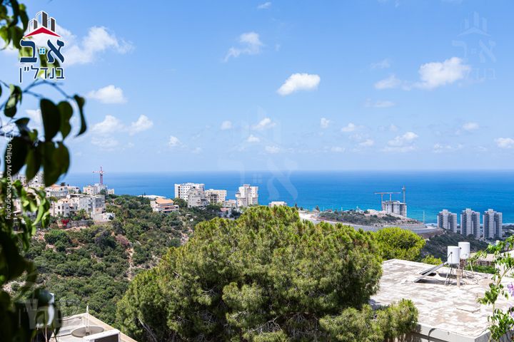 אילנות 