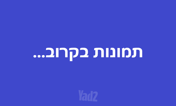 בן גוריון 