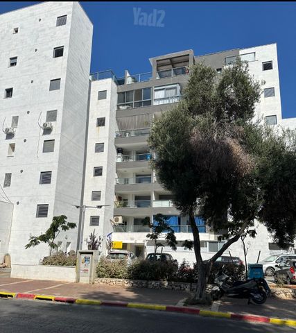 הצבעוני 