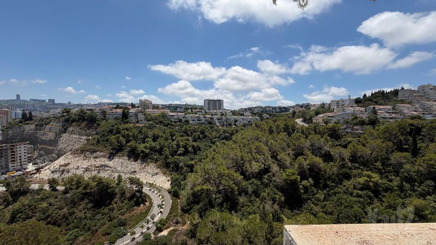 ליאון בלום 