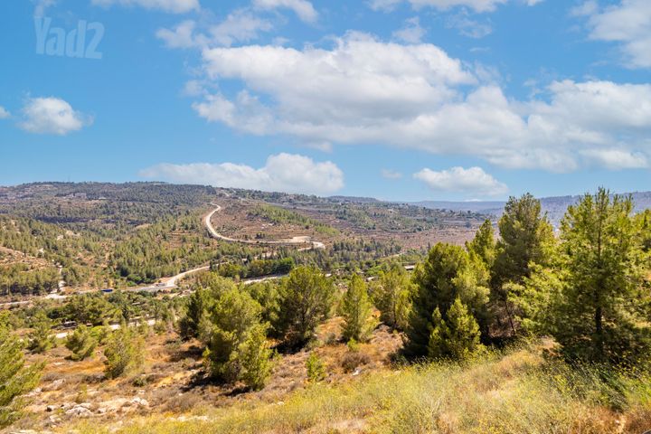 יורם רונן 