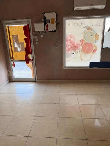 כללי