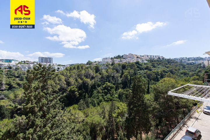 ליאון בלום