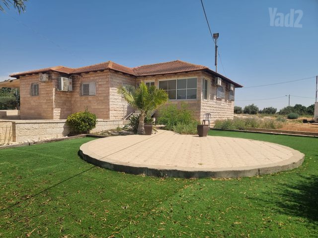 תאנה 14