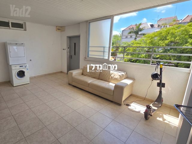 מוהליבר 