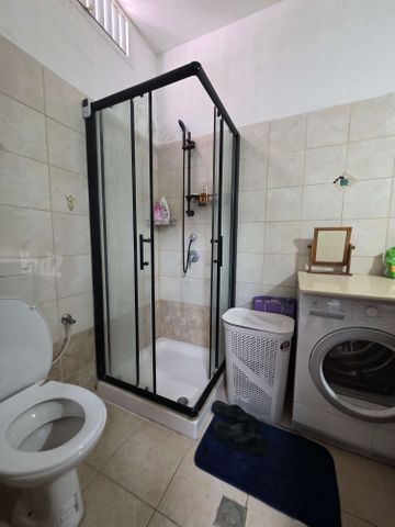 תמונה 8 של דירת 2 חדרים להשכרה בחיפה