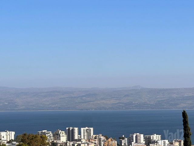 שטרית 