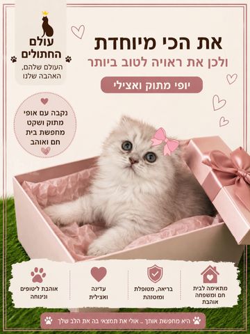 תמונת מודעה - חיות מחמד