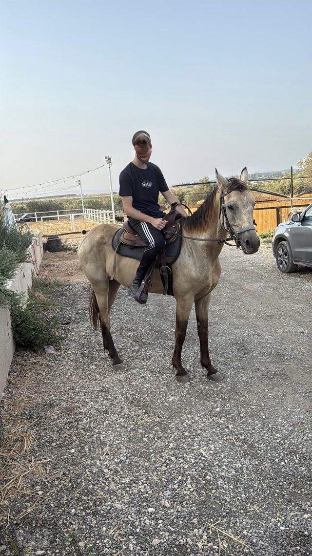 סוס קווטר