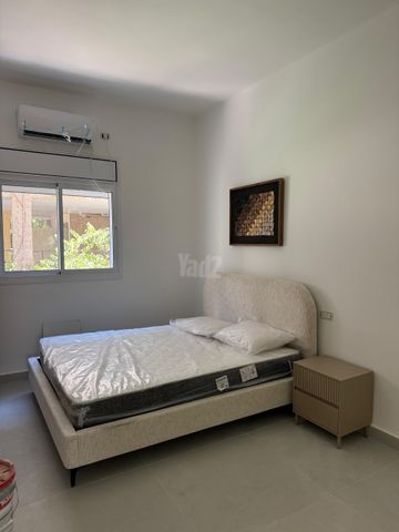 כינרת 10