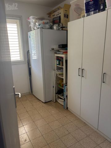 יואב 38