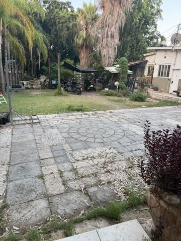 צביה לובטקין 23
