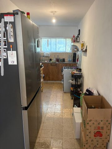 ברזיל 100