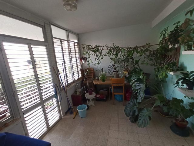 גולומב 31