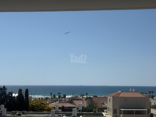 כינרת 11