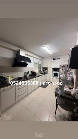 הדקלים 22