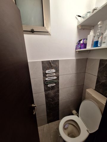 יהושע פורר 185
