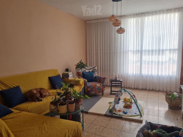 אחד העם 13