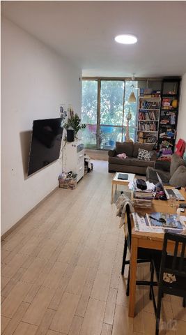 הרב הרצוג 7