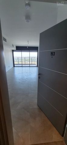 השבטים 6