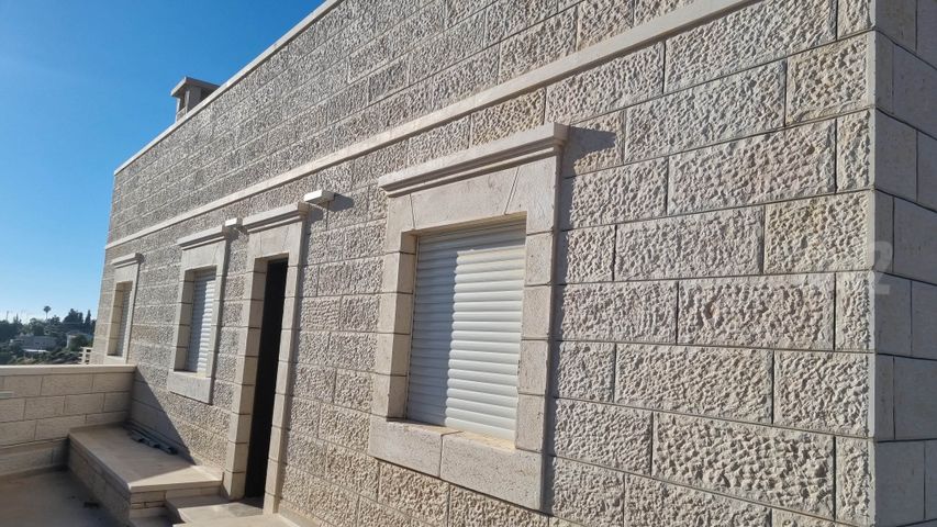 גפן 1