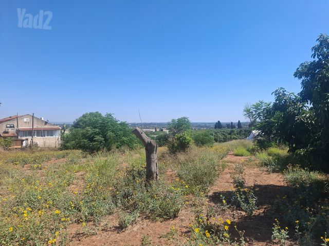 בית פרטי/ קוטג'