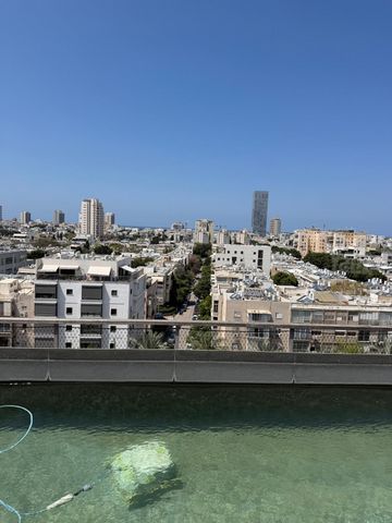 הצפון החדש - דרום