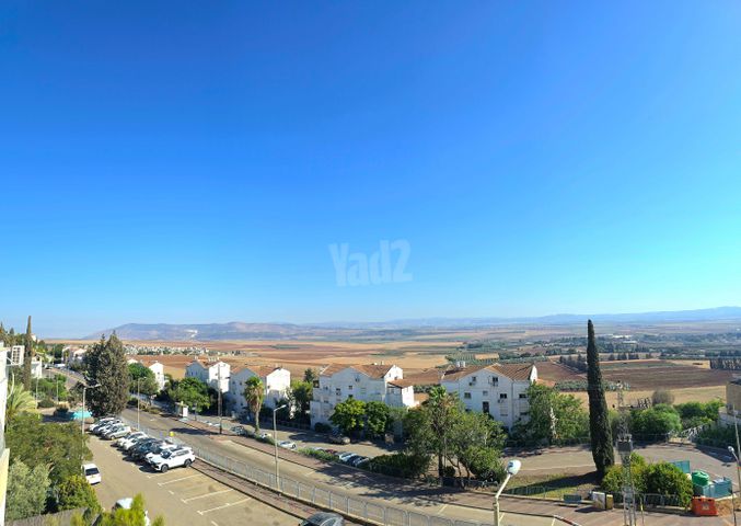 סחלב 