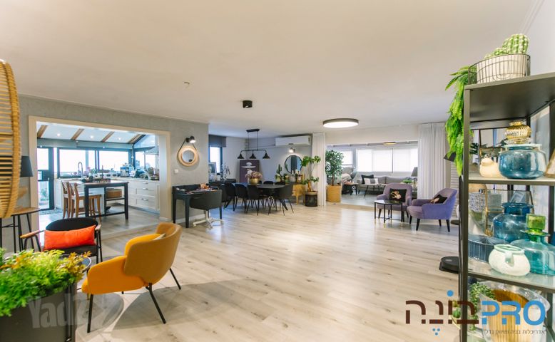 גינוסר 