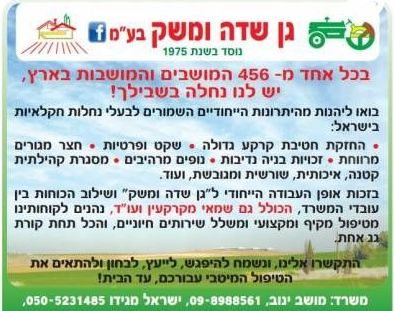 בית פרטי/ קוטג'