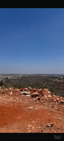 מגרשים