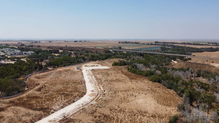 שליו 