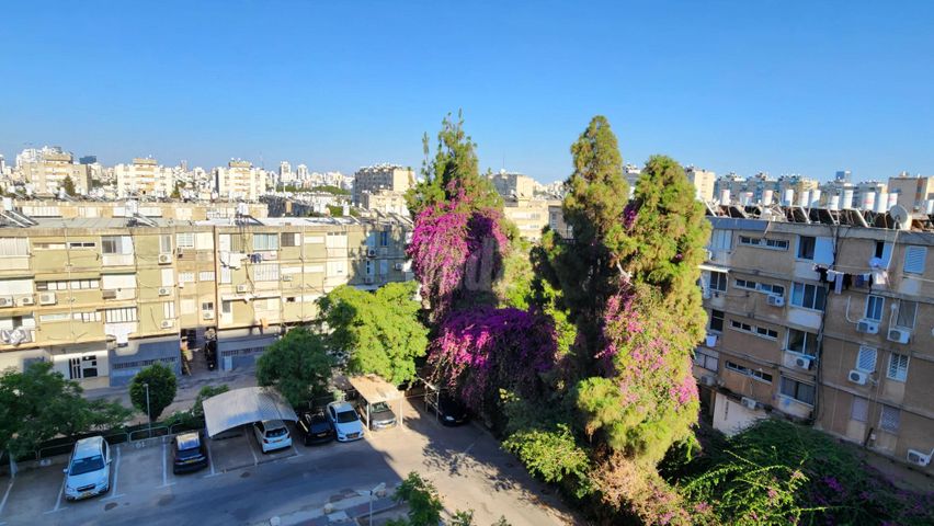 דוד רזיאל 