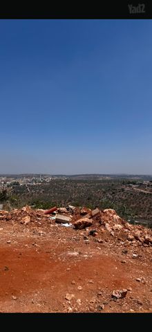 מגרשים