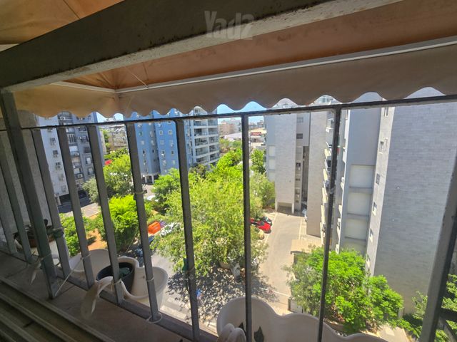 דוידזון 