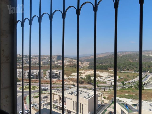 רועי קליין 10