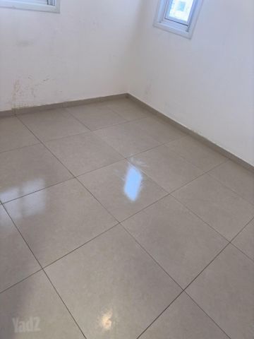 החשמונאים 65