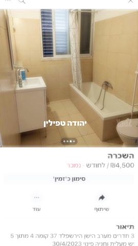 צבי הירשפלד 37