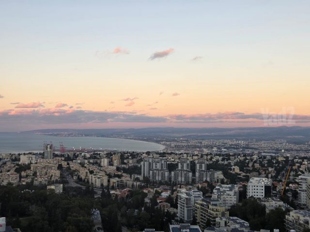 יהודה בורלא 25