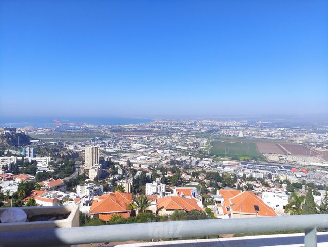 האלון 