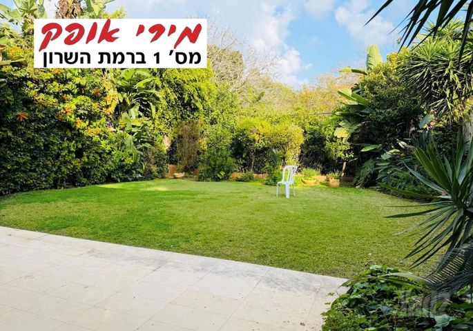אלון