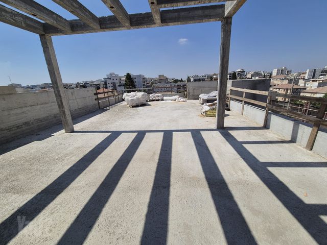 הרימון 