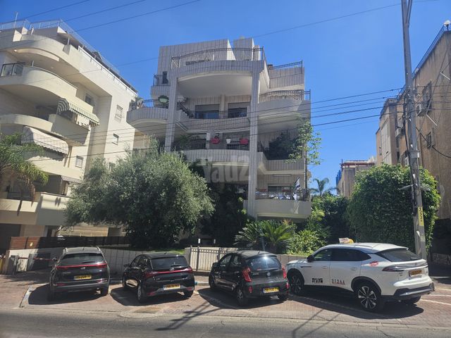 - תמונה 2