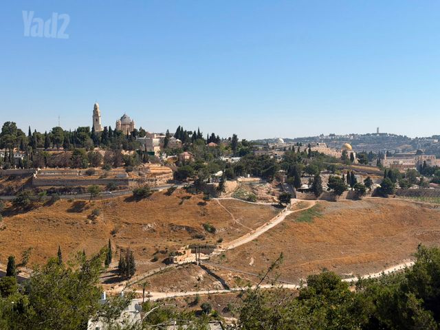 עין רוגל 