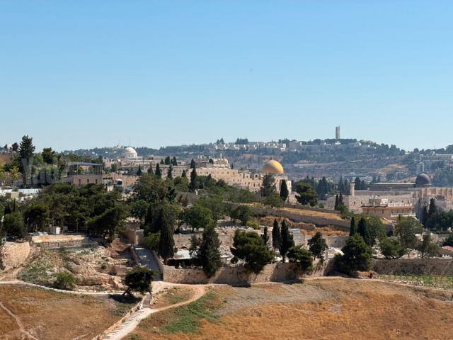 דירה להשכרה בירושלים (תיווך) — 3