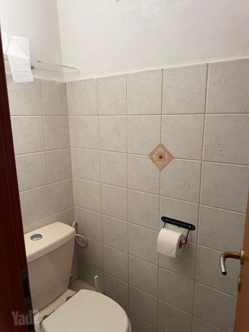 דירה להשכרה בתל אביב יפו (תיווך) — 5