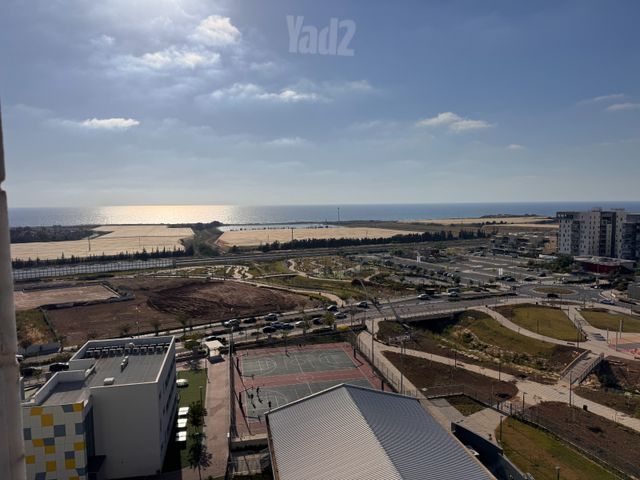 החותרים