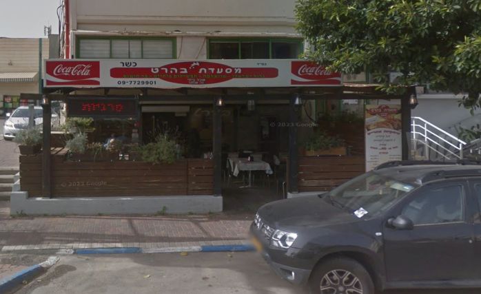 הסדנא 2