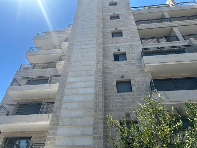 הארזים 5