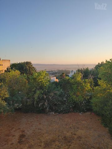 קרן היסוד 5